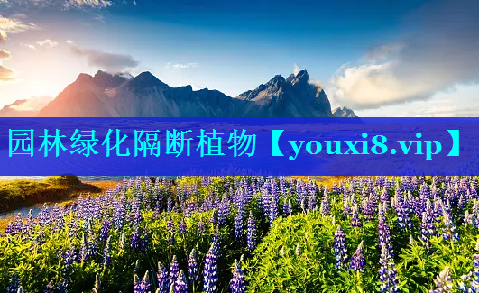 园林绿化隔断植物