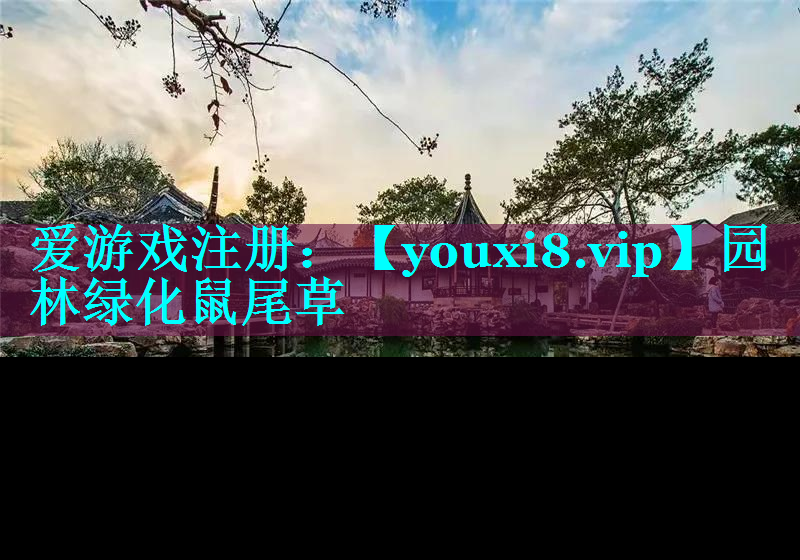 园林绿化鼠尾草