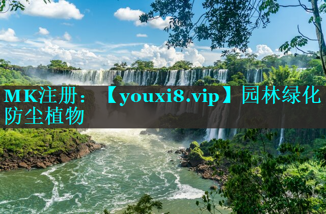 园林绿化防尘植物