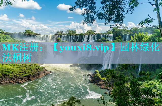 园林绿化法桐树