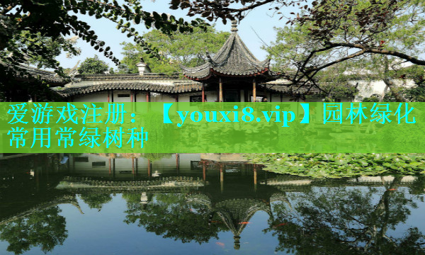 园林绿化常用常绿树种