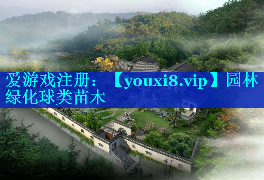 园林绿化球类苗木
