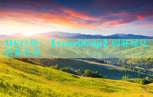 园林绿化的紫色花