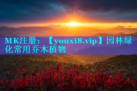 园林绿化常用乔木植物