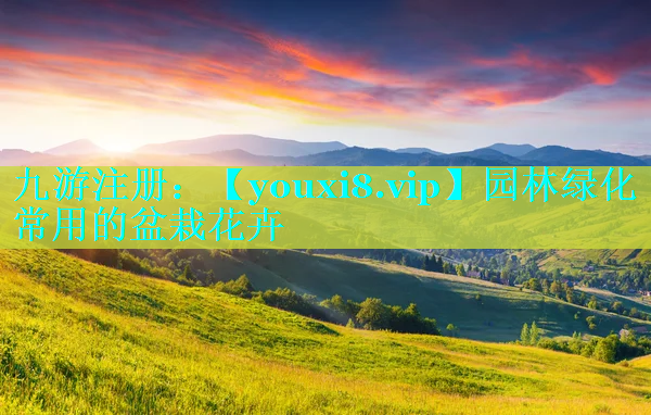 园林绿化常用的盆栽花卉