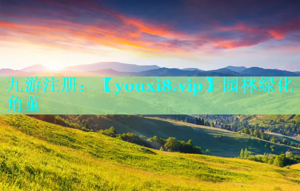 园林绿化角堇